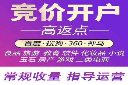 揭秘SEM竞价成功案例，助你提升ROI